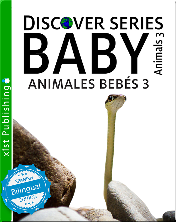 Animales Bebés 3/ Baby Animals 3
