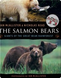 Salmon Bears