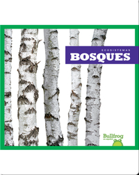 Bosques (Forests)