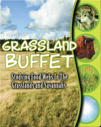 Grassland Buffet: Studying Food Webs In The Grasslands And Savannas