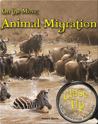 On the Move: Animal Migration