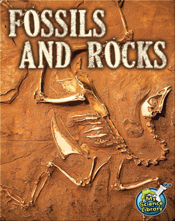 Fossils and Rocks