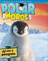 Polar Words