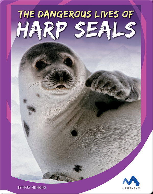 The Dangerous Lives of Harp Seals