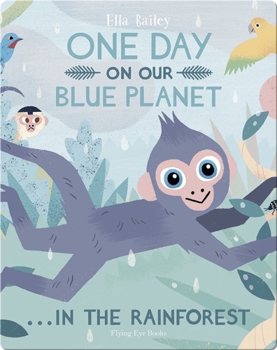 One Day on Our Blue Planet: In the Rainforest