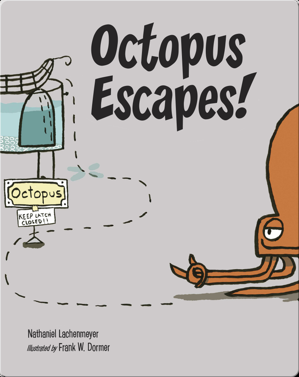 Octopus Escapes!