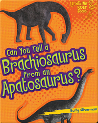 Can You Tell a Brachiosaurus from an Apatosaurus?