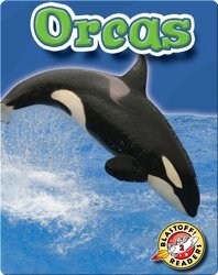 Orcas: Oceans Alive