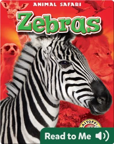 Zebras: Animal Safari