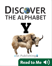 Discover The Alphabet: Y