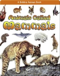 Animals called Mammals