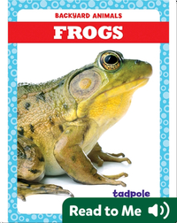 Backyard Animals: Frogs