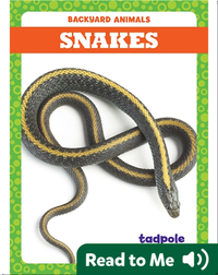 Backyard Animals: Snakes