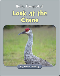 Hello, Everglades!: Look at the Crane