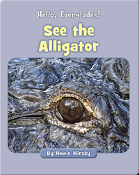 Hello, Everglades!: See the Alligator