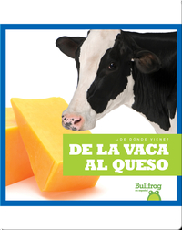 De la vaca al queso (From Cow to Cheese)