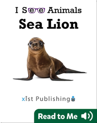 I See Animals: Sea Lion