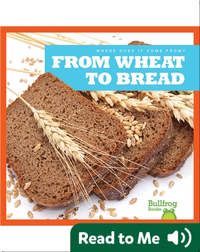 Where Does It Come From?: From Wheat to Bread