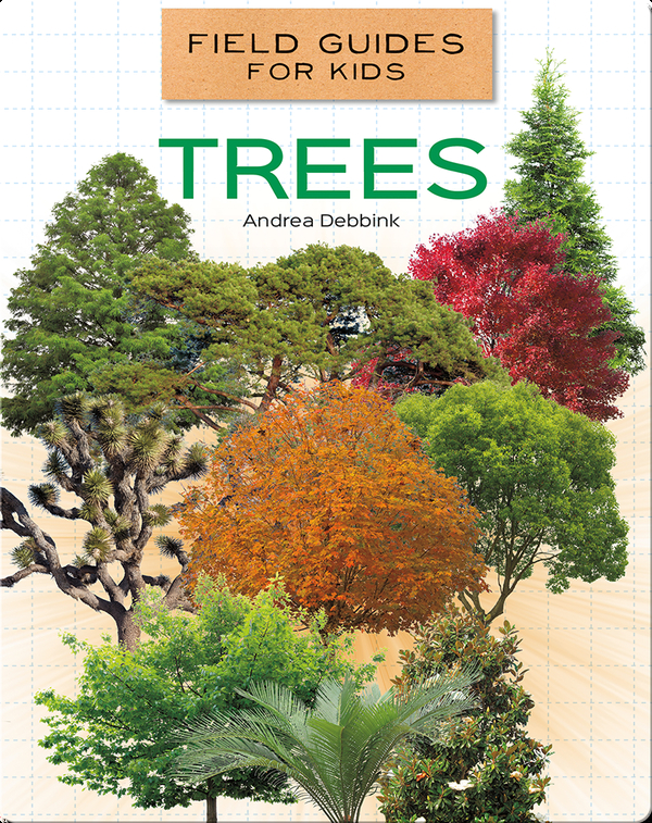 Field Guides for Kids: Trees