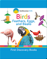 Birds: Feathers, Eggs, and Beaks