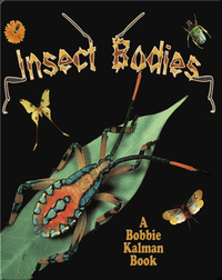 Insect Bodies