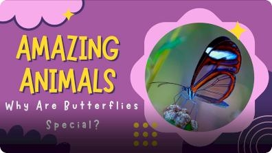 Adventure Family Journal: Let's Learn About Butterflies