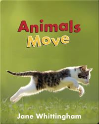 Big, Little Concepts: Animals Move