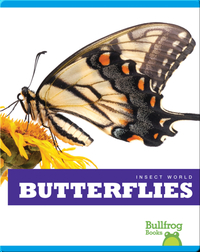 Insect World: Butterflies