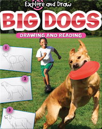 Explore And Draw: Big Dogs