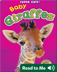Super Cute! Baby Giraffes