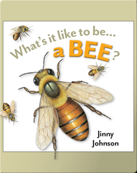 What's It Like To Be A Bee?