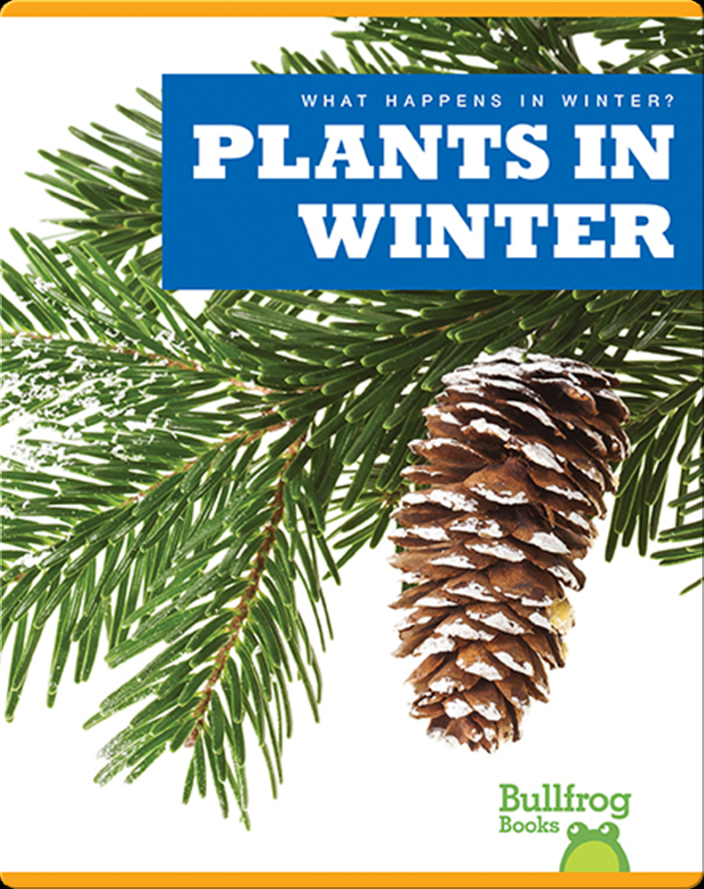 what-happens-in-winter-plants-in-winter-children-s-book-by-jennifer