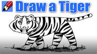 How to Draw a Tiger Real Easy