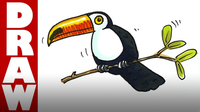 How to Draw a Toucan