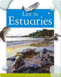 Life in Estuaries