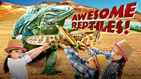 Reptiles for Kids | All About Reptiles | Fun Reptile Videos for Kids