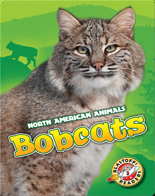 Cool Cats: Bobcats