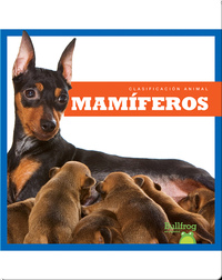 Clasificación Animal: Mamíferos