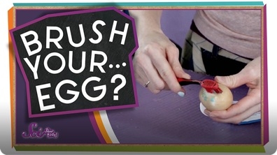 SciShow Kids: Remember to Brush Your... Egg?