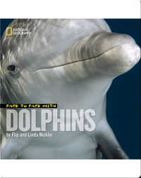 Face to Face with Dolphins