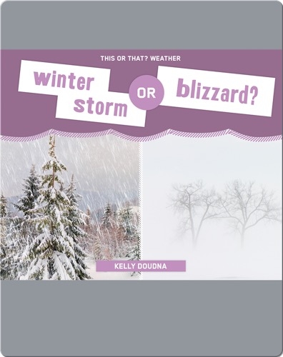 Winter Storm or Blizzard?