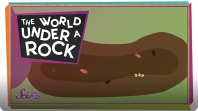 SciShow Kids: The World Under a Rock!