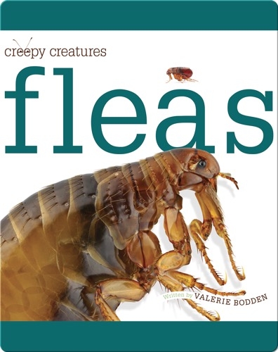 Fleas