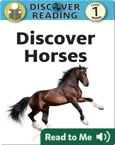 Discover Horses