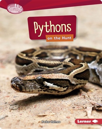 Pythons on the Hunt