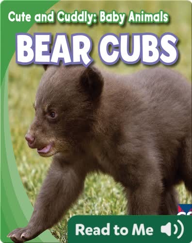 Cute and Cuddly: Bear Cubs