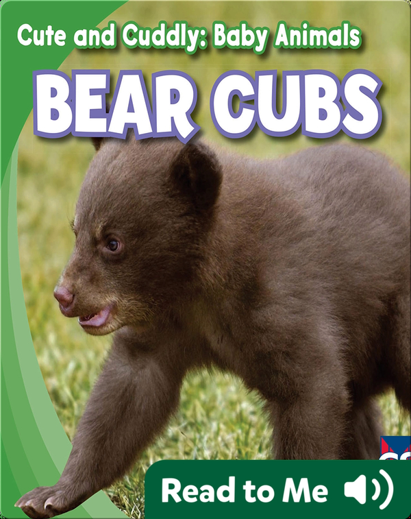 Cute and Cuddly: Bear Cubs