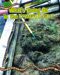 What's Going On In The Compost Pile? A Book About Systems