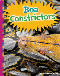 Boa Constrictors