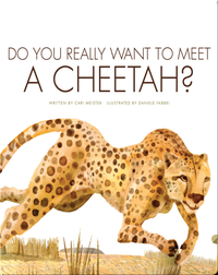 Do You Really Want To Meet A Cheetah